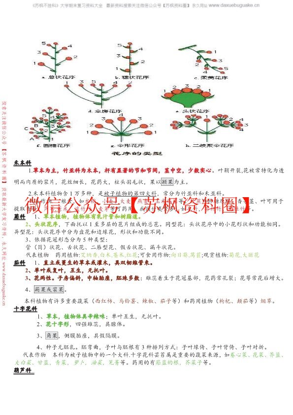 植物分类学